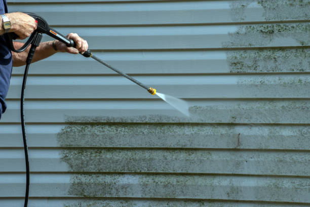 Best Pool Deck Cleaning in Burton, OH